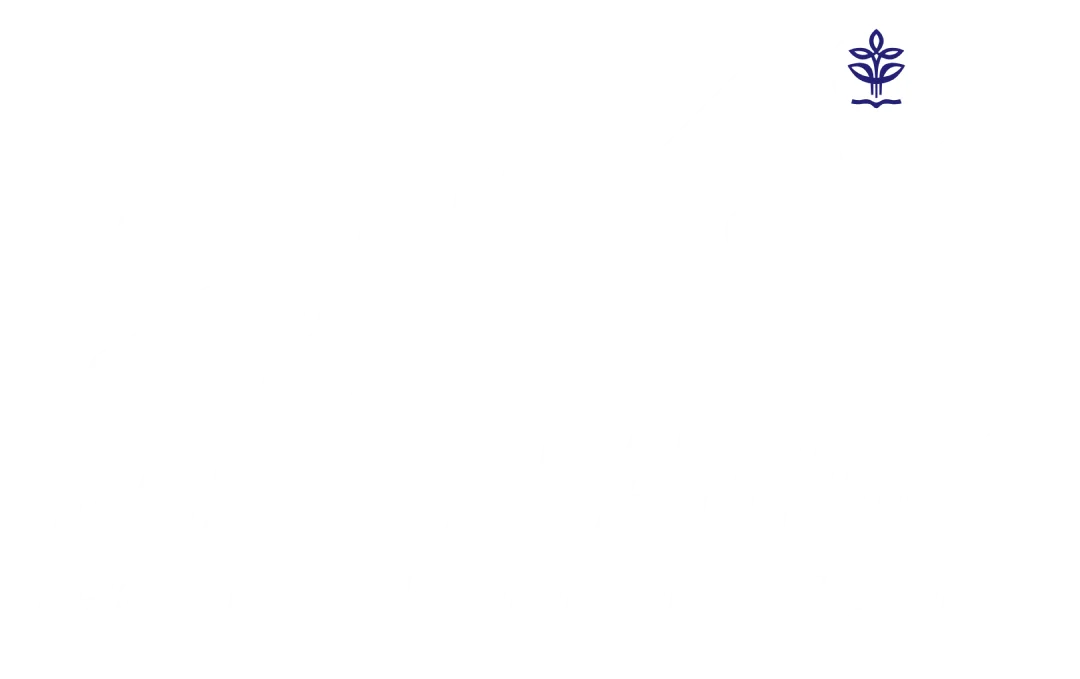 IPB RUN 2025